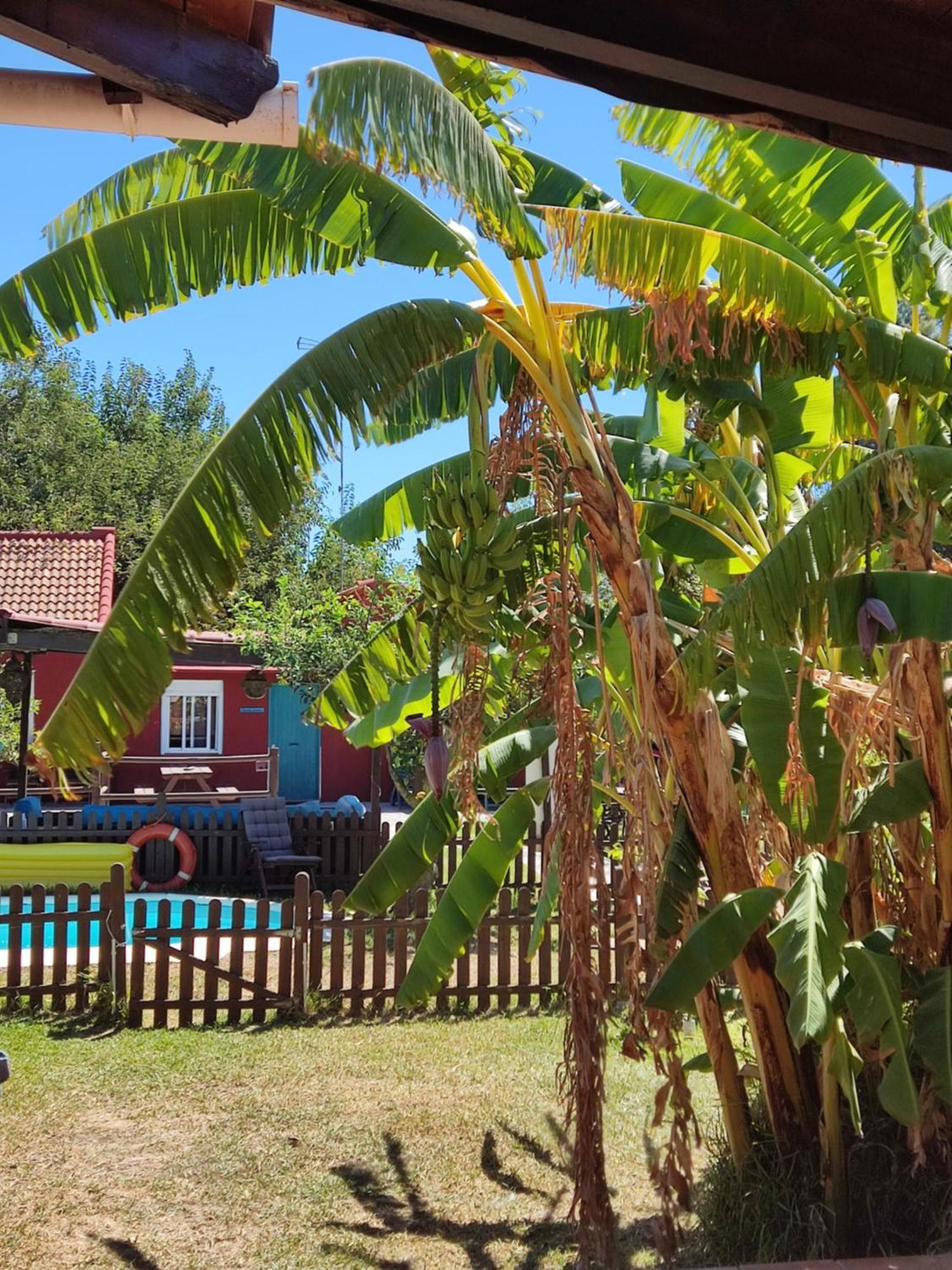 Hostal Karma House Casares Exterior foto